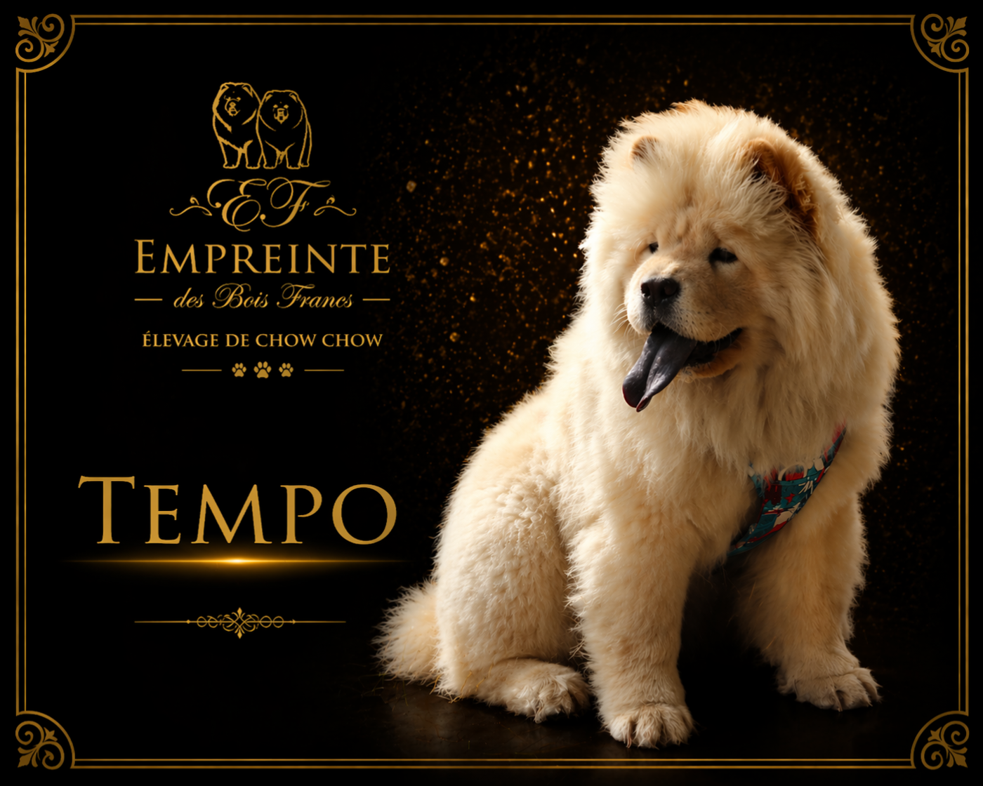 TEMPO (Sans Affixe)